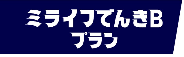 ミライフでんきBブラン